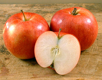 Ida Red Apples