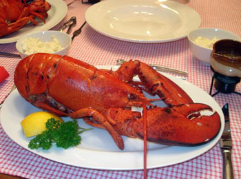 Cooked Lobster