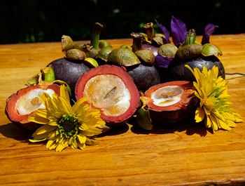 Mangosteen