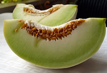 Honeydew Melon