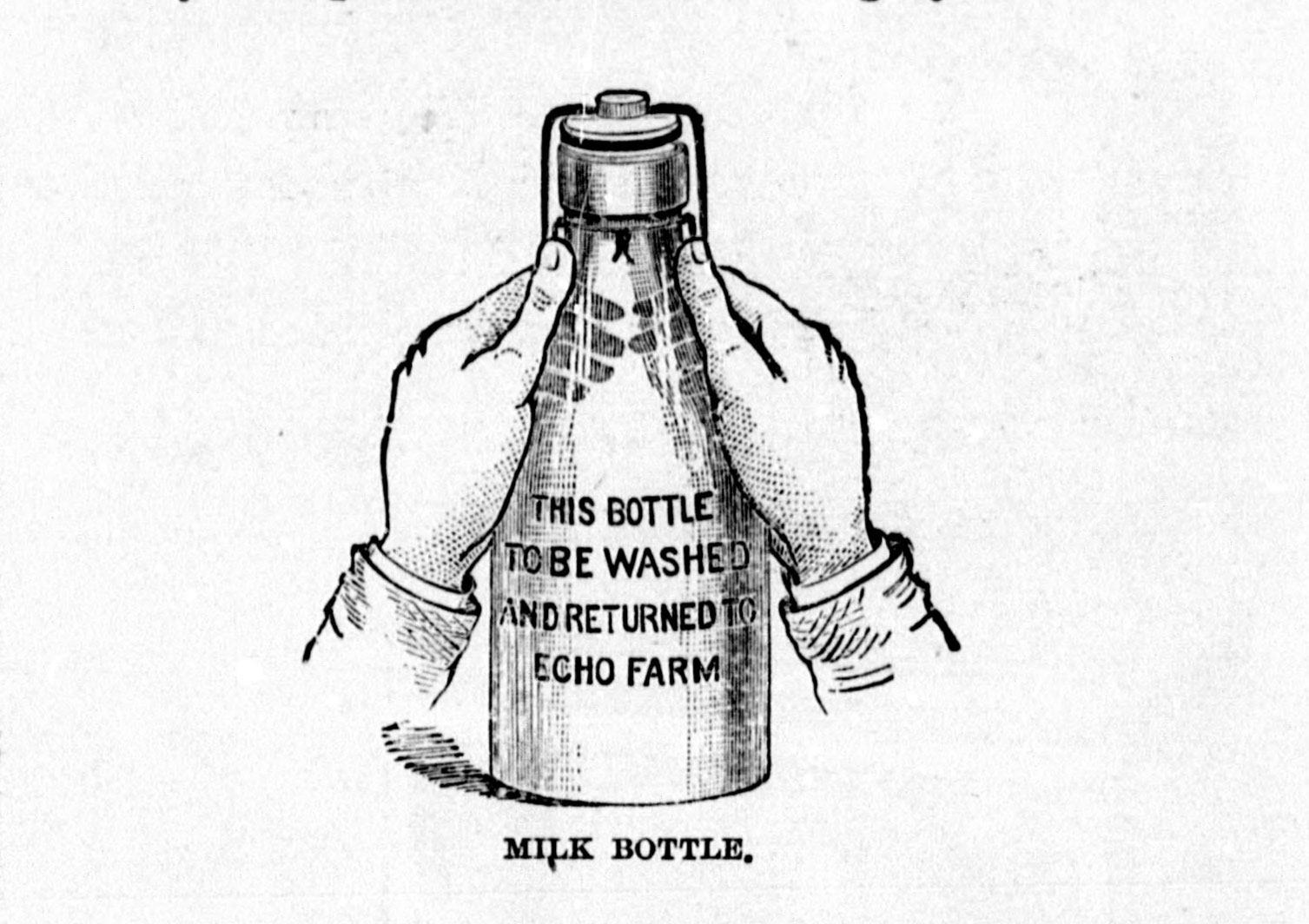 Illustration of Echo Farm milk jar / bottle