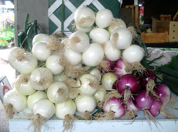 Onions