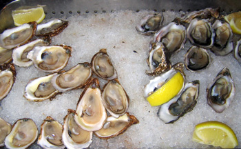 Oysters