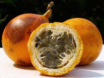 Passion Fruit