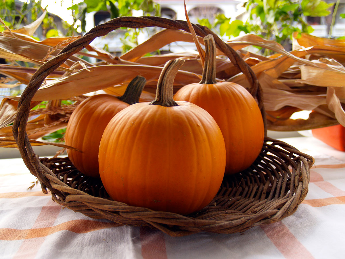 Pie pumpkins