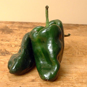 Poblano Chile Pepper