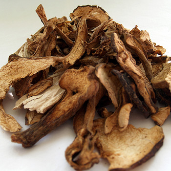 Dried Porcini Mushrooms