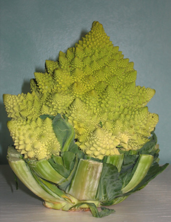 Romanesco Cauliflower