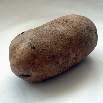 Russet Potato