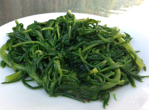 Cooked Samphire