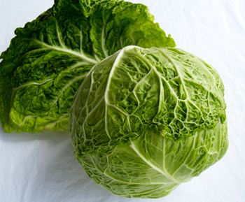 Savoy Cabbage