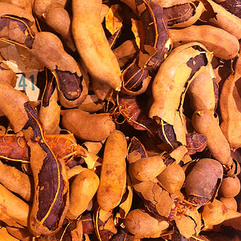 Tamarind Pods