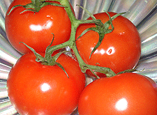 Tomatoes with vines