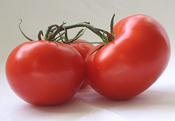 Tomatoes