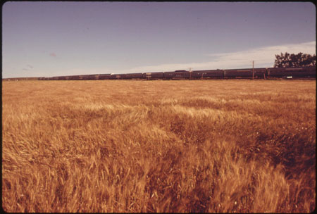 Kansas Wheat Field, 1974. U.S. National Archives 412-DA-13551. O'Rear, Charles, 1941-